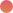 dinvest